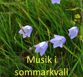 Musik i sommarkväll